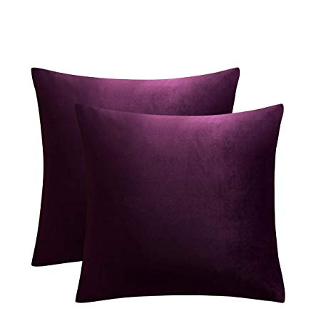 JUSPURBET Eggplant Purple Throw Pillow Covers,Pack of 2 Velvet Pillow Covers for Sofa Couch Bed,Decorative Super Soft Throw Pillows Cases,26x26 Inches