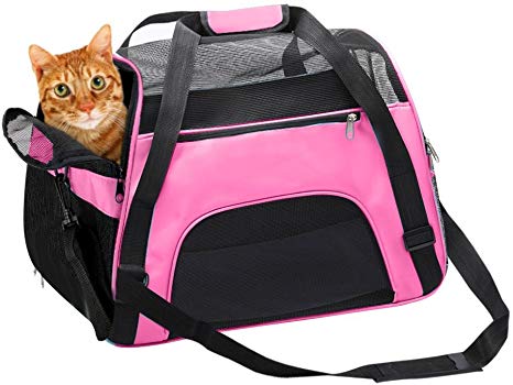 DONYER POWER Soft Sided Pet Carrier for Dogs & Cats Comfort Airline Approved Under Seat Travel Tote Bag Backpack, Travel Bag for Small Animals with Mesh Top and Sides,PINK