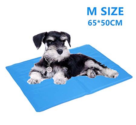 Cadosoigh Dog Cooling Mat 90x50cm Durable Pet Cool Mat Non-Toxic Gel Self Cooling Pad, Great for Dogs Cats in Hot Summer（ sky blue ） (65 * 50CM)