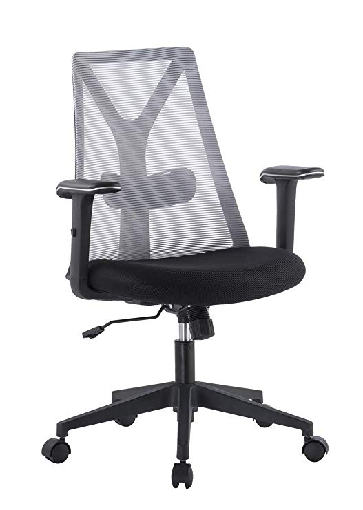 TOPSKY Mesh Office Computer Desk Task Executive Chair Adjustable Armrest (Gray)