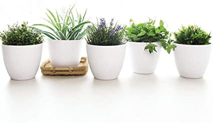 YIKUSH 6.5 Inches Plastic Planters with Plant Saucers Set of 5, Garden Flower Plant Pots Indoor Modern Decor White Planter Pot for All House Plants