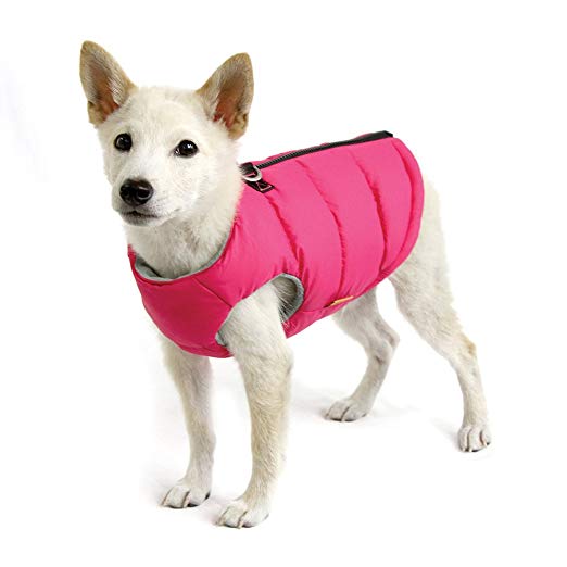 Gooby - Padded Vest, Dog Jacket Coat Sweater with Zipper Closure and Leash Ring