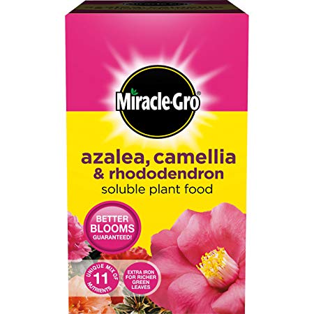 Miracle-Gro Azalea, Camellia & Rhododendron Soluble Plant Food 1 kg