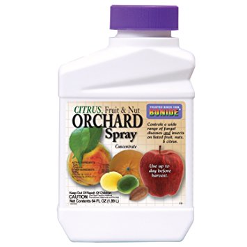 Bonide Chemical Citrus Fruit and Nut Orchard Spray Concentrate