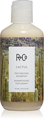 R Co Cactus Texturizing Shampoo, 6 oz.