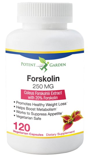 60 DAY SUPPLY | 100% Pure Forskolin Extract | Highest Grade Weight Loss Supplement For Women & Men | Best Coleus Forskohlii On The Market | Premium Forskolin Supplement Pills 250mg | Potent Garden