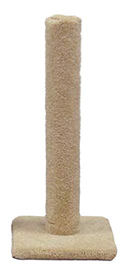 North American Pet Classy Kitty Cat Carpet Scratching Post, Assorted Colors