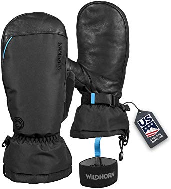 Wildhorn Tolcat Waterproof Ski Mittens - US Ski Team Official Supplier