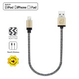 iPhone Charger MFI Apple Certified Cambond 1ft Element Series 8 pin USB SYNC Cable Charger Cord  Metal Gold  03 M