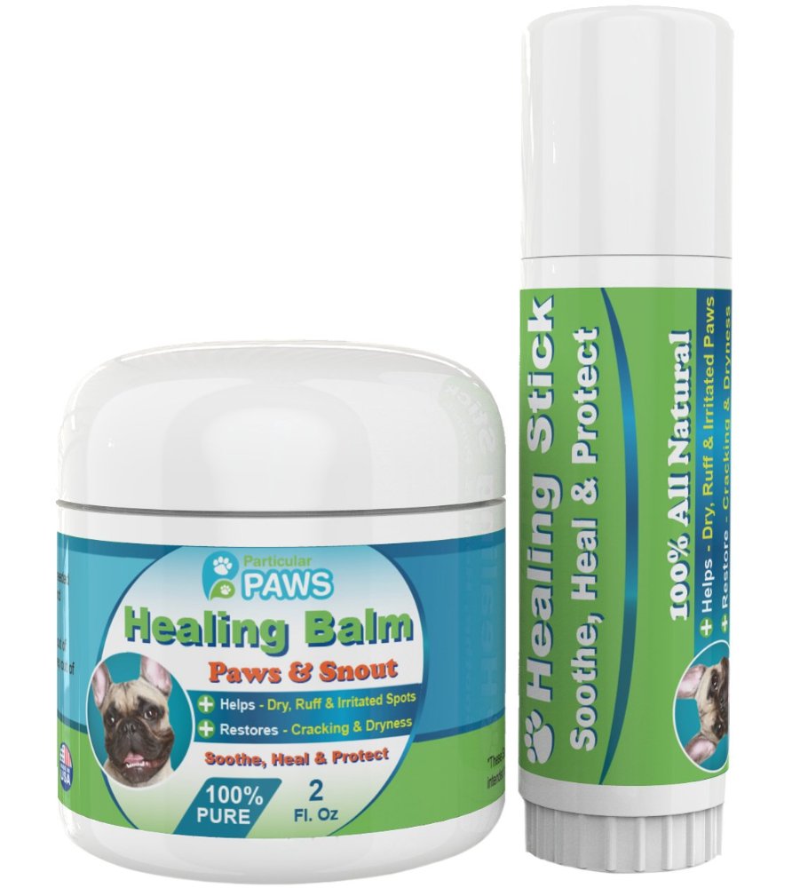 Dog Healing Balm for Paws and Snout - 2 oz Jar  5 oz Stick - All Natural - Aloe Vera Tea Tree Oil Cocoa Butter and Coconut Oil