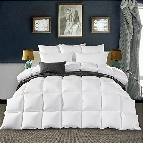 Shi Shang®King Size Pure Goose Down Comforter 1100 Fill Power Down Quilt Down Duvet Down Doona Coverlet Bedspread Blanket White Color, 2200TC Egyptian Cotton Cover