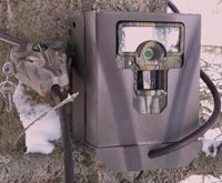 Security Box to Fit Moultrie M100 Game Camera