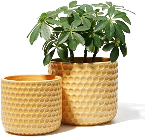 POTEY 6 and 5 Inch Ceramic Planter with Drainage Hole for Indoor and Outdoor Plant, 813, Yellow