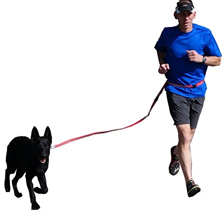 DogYo! Adjustable Running Leash- Made by runners for runners so they can run with their best friends! Prime Eligible! For a happy dog and happier owner.