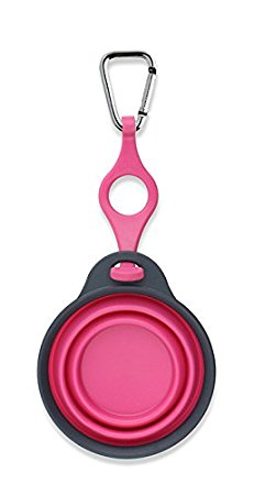 Dexas Popware for Pets Travel Pet Cup with Bottle Holder and Carabiner