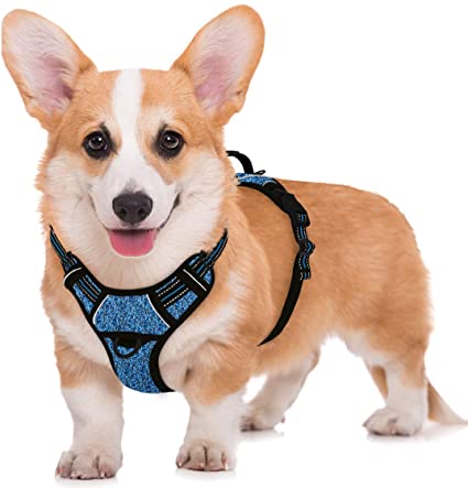 BARKBAY No Pull Dog Harness Large Step in Reflective Dog Harness with Front Clip and Easy Control Handle for Walking Training Running with ID tag Pocket(Blue/Black,M)