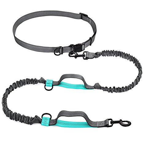 Folksmate Hands Free Waist Dog Leash with Dual Bungees, Free Control from Small to Large Dogs, Durable Dual-Handle Bungee Leash with Adjustable Waist Belt - for Running, Jogging or Walking
