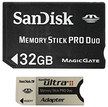 SanDisk Flash 32 GB Memory Stick PRO Duo Flash Memory Card SDMSPD-032G, Black