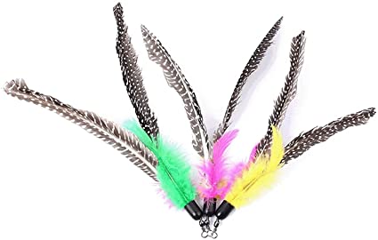 6 Pack Feather Refill Replacement for Da Bird feather Wand Home Pet Cat Toy Kitten Interactive Toys
