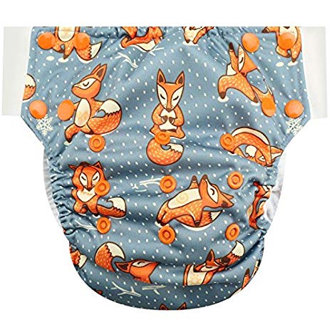 HappyEndings Toddler/Kid Pull On Reusable Cloth Diapers/Training Pants (Medium, (Fits 35-50lbs), Yoga Foxes)