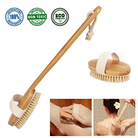 Shower Brush Bath & Back Scrubber with Long Bamboo Detachable Handle &Soft Boar Bristle for Body Massage Dry Skin Brushing - by Ecobambu