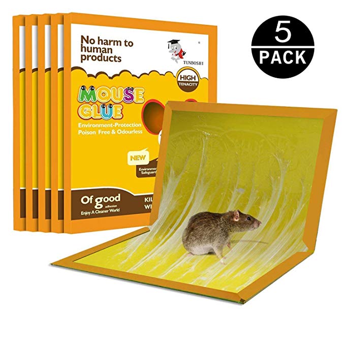 JCHOPE Mouse Glue Trap, Mouse Glue Traps, Mouse Glue Boards, Mouse Trap, Mouse Size Glue Traps Sticky Boards, Peanut Smell (5Pack)