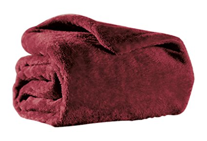 Sunbeam Arctic Plush Heated Throw, Garnet, TSA8TS-X310-13A00