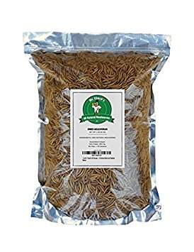 1 Lb Mr. Cluck's All Natural Dried Mealworms Food for Chickens Birds and Reptiles