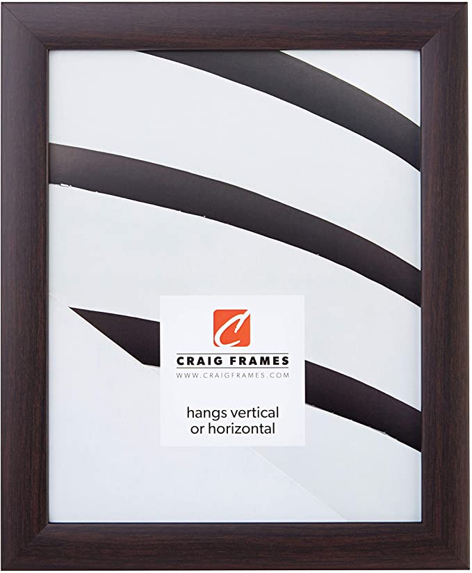 Craig Frames 23247778 18 x 26 Inch Picture Frame, Smooth Finish, 1-Inch Wide, Brazilian Walnut Brown