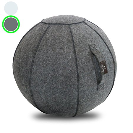 ProBody Pilates Sitting Ball Chair with Handle for Home, Office, Pilates, Yoga, Stability and Fitness - Includes Exercise Ball with Pump