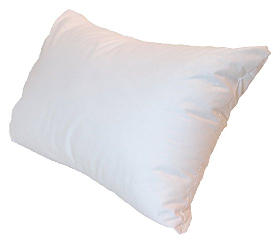 20x36 Inch Pillowflex Premium Polyester Filled Pillow Form Insert - Machine Washable - Oblong Rectangle King - Made In USA