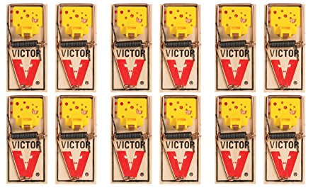 Mouse Traps (Pack of 12)