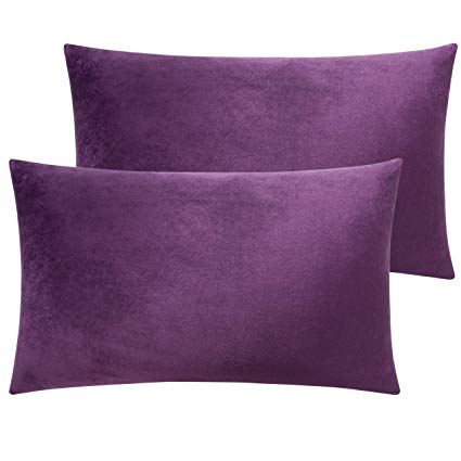 NTBAY Solid Velvet Queen Pillowcase, 2 Packs Super Soft and Cozy Luxury Zippered Pillow Cases, 20 x 30 Inches, Purple