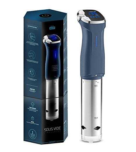 Kitchen Gizmo Sous Vide Immersion Circulator - Cook with Precision, 800 Watt Blue Circulator Stick with Touchscreen Control Panel and Safety Feature - Bonus Recipe Book Included
