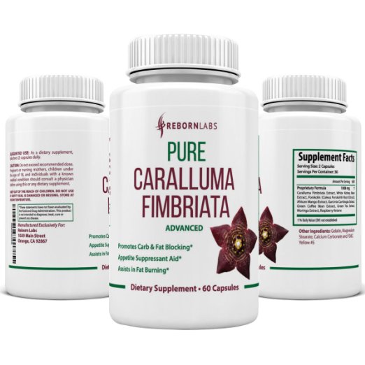 Caralluma Fimbriata for Weight Loss  THE BEST Carb Blocker with Forskolin Garcinia Green Tea Raspberry Ketones Moringa and More  Helps Burn Fat Suppress Appetite Block Carbs  60 Ct