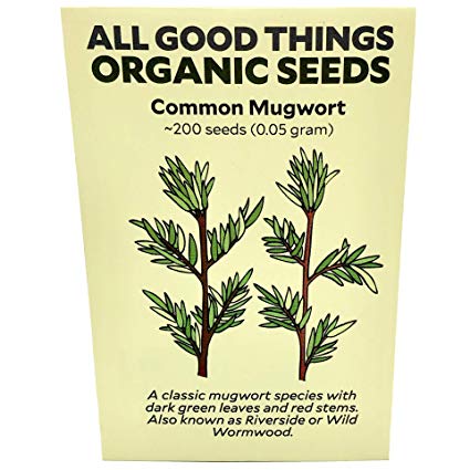 Common Mugwort (Artemisia vulgaris) Seeds (~200): Certified Organic, Non-GMO, Heirloom, Open Pollinated Seeds from The United States