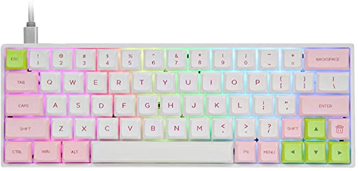 EPOMAKER SKYLOONG SK64 64 Keys Hot Swappable Mechanical Keyboard with RGB Backlit, PBT Keycaps, Arrow Keys for Win/Mac/Gaming