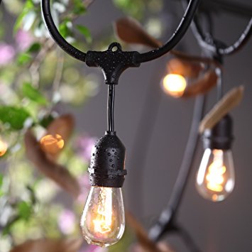 AMLIGHT Outdoor Commercial Heavy Duty Weatherproof String Globe Lights 48 Feet Long with 24 Hanging Dropped Sockets, 14 Gauge Black Extension Cords with 3 Conductor Wire, Bulbs Not Included