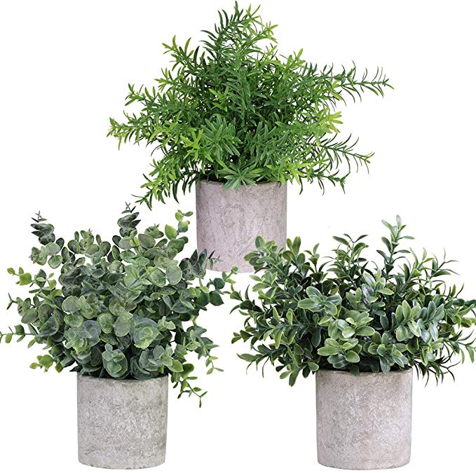 Winlyn Mini Potted Plants Artificial Eucalyptus Boxwood Rosemary Greenery in Pots Faux Potted Herbs Small Houseplants 8.3"-9" Tall for Indoor Greenery Tabletop Décor Centerpiece 3 Pack