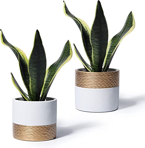 POTEY Cement Planters Pots for Plants Indoor - 5 Inch Concrete Succulent Flowerpot Bonsai Container with Drainage Holes 054902, Set of 2, Plant NOT Included