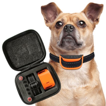 Our K9 Orange Bark Collar. Small Inactive Dogs. Sound and Vibration Pain Free Anti Bark Collar. There are 9 Different No Bark Collars in The Our K9 Range from Toy to Large - Choose the Correct Collar.
