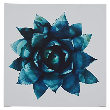 Rivet Ripple Teal Succulent Canvas Print Wall Art Decor, 16" x 16"