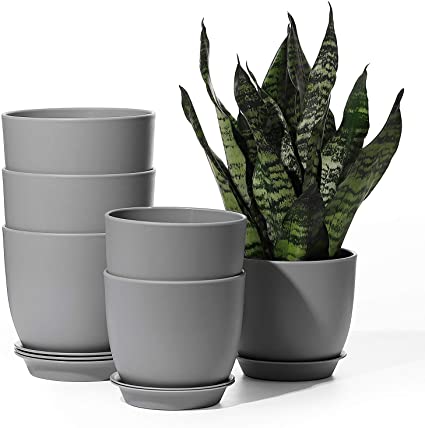 Plastic Plant Pots - POTEY 6.3 Inch and 5.5 Inch Flower Pots with Drainage Hole and Trays for House Plant - 001, Gray, Set of 6