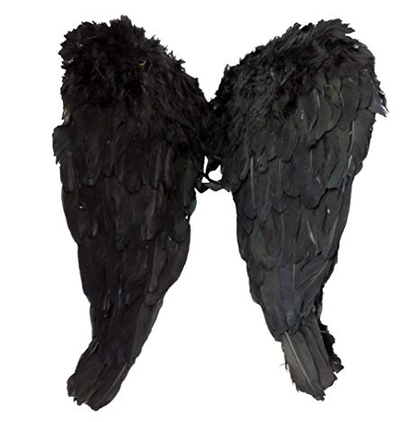 Black Feather Fallen Angel Wings w/ Shoulder Laces