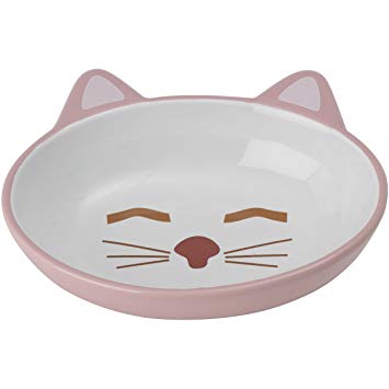 Petrageous Designs Here Kitty 5.50" Oval Pet Bowl, Pink & Blue Assorted