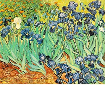 Colour Talk Diy oil painting, paint by number kit- worldwide famous oil painting Irises by Van Gogh 1620 inch.