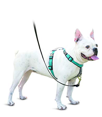 PetSafe 3in1 Harness, from The Makers of The Easy Walk Harness