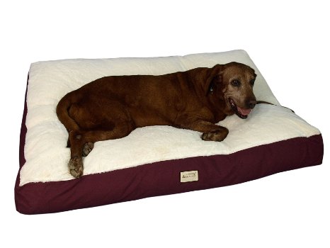 Armarkat Pet Bed w Waterproof Lining Removal Color Non Skid Base