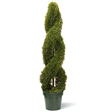 National Tree 48 Inch Double Cedar Spiral Tree in 9 Inch Green Round Plastic Pot (LCDS4-702-48-1)