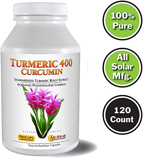 Andrew Lessman Turmeric 400-120 Capsules – 95% Curcuminoids as Phospholipid Complex for Optimum Benefits and Greater Absorption, High Potency Standardized Extract, Small Easy to Swallow Capsules